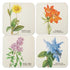 Σετ 4 σουβέρ - Botanical, Wild Flowers